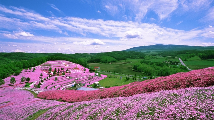 【春旅】春爛漫★ピークをずらして！ひがし北海道花めぐりの旅　朝食付き